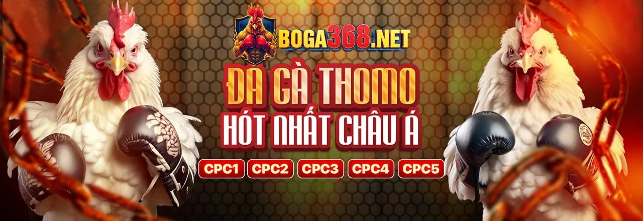 Đá gà trực tuyến gg8826 nhà cái